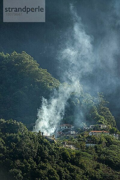 Feuer bei Boaventura  Madeira  Portugal  Europa