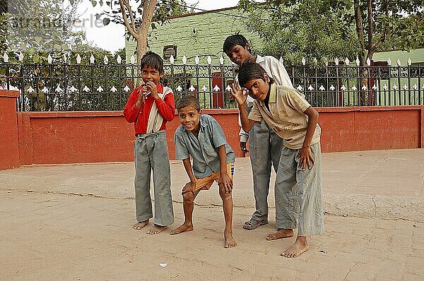 Jungen  Bharatpur  Rajasthan  Indien  Asien