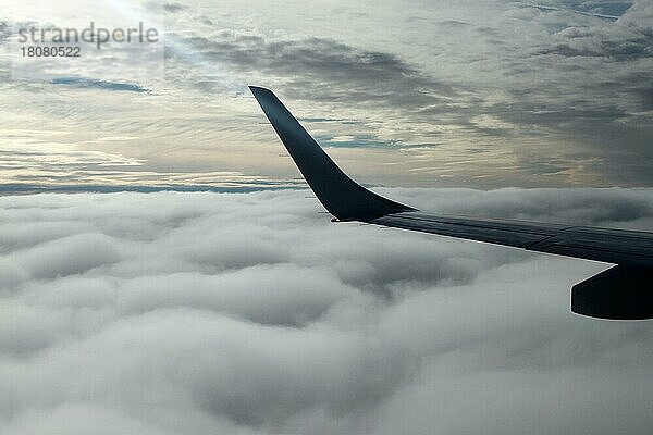 Flugzeugflügel  Wolken
