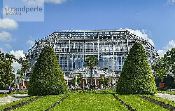 Großes Tropenhaus  Botanischer Garten  Königin-Luise  Lichterfelde  Steglitz-Zehlendorf  Berlin  Deutschland  Königin-Luise-Strasse  Europa