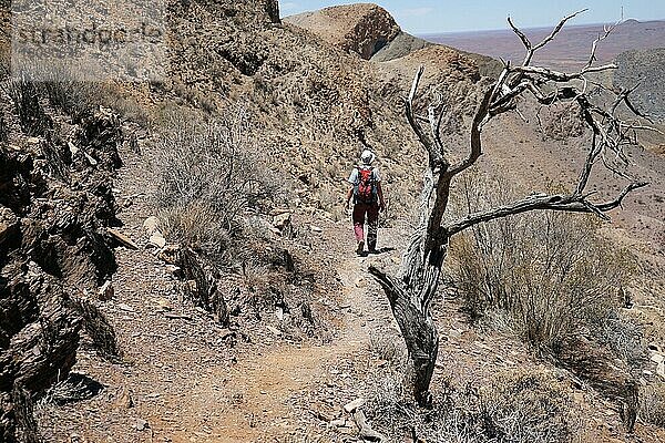 Wanderer  OliveTrail  Naukluftberge  Namib-Naukluft-Nationalpark  Namibia  Afrika