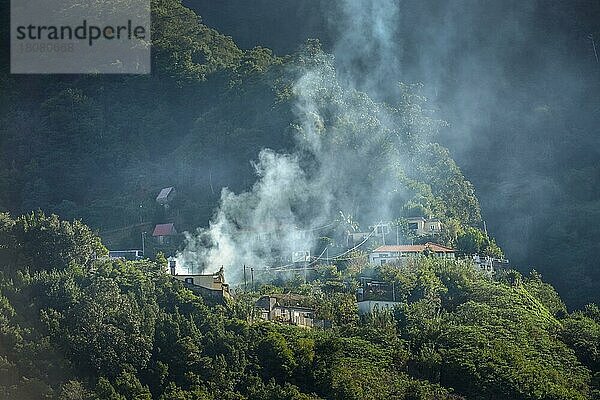 Feuer bei Boaventura  Madeira  Portugal  Europa