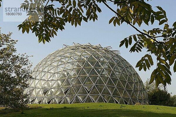 Kuppelförmiges Gewächshaus  Botanischer Garten  Düsseldorf  Nordrhein-Westfalen  Deutschland  Europa