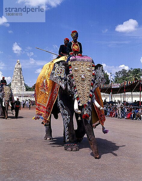 Geschmückter Elefant beim Dussera-Fest in Mysuru  Mysore  Karnataka  Indien  Asien