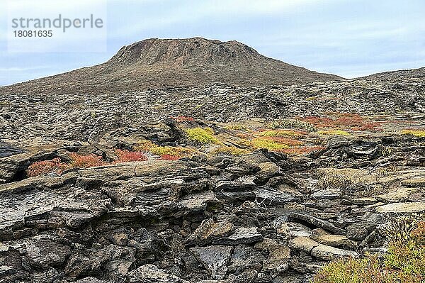 Chinesische Hutinsel vor der Insel Santiago  Galapagos  Ecuador  Unesco-Weltkulturerbe  Südamerika