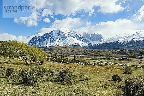 Cuernos del Paine  Nationalpark Torres del Paine  Chilenisches Patagonien  Chile  Südamerika