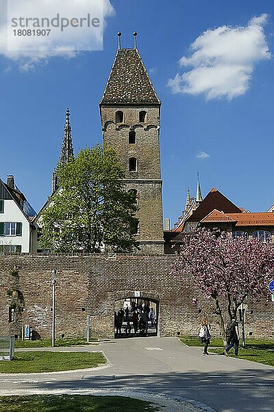 Metzgerturm  Stadttor  Stadtmauer am Donauufer  mittelalterliche Stadtbefestigung  Ulm  Baden-Württemberg  Deutschland  Europa