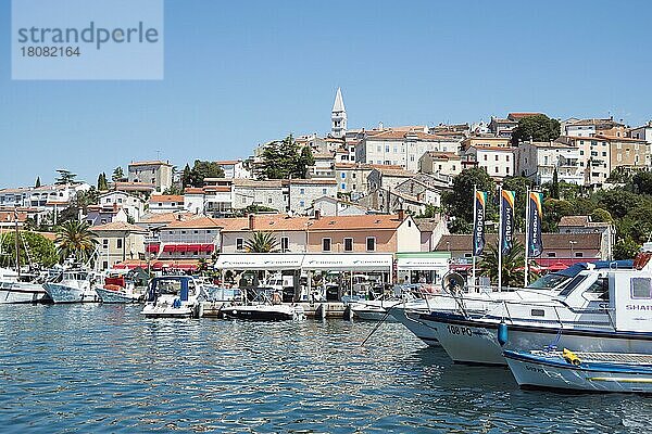 Altstadt und Hafen  Vrsar  Istrien  Kroatien  Europa