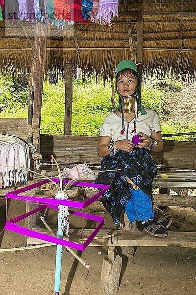 Langhalsige Frau  Karen-Stamm  Chiang Mai  Thailand  Asien