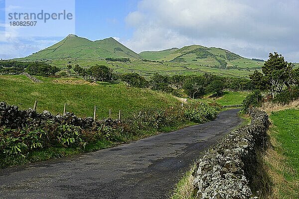 Straße bei Cabeco do Caminho  Hochland  Pico  Azoren  Portugal  Europa