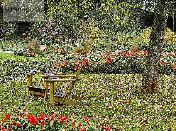 Herbstliche idylle in Park  Hamburg  Deutschland  Europa