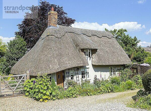 Hübsches historisches reetgedecktes Cottage im Dorf Whatfield  Suffolk  England  UK