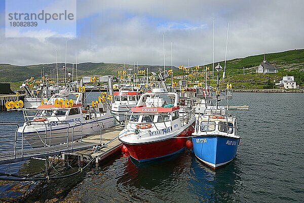 Hafen  Holmavik  Westfjorde  Island  Europa