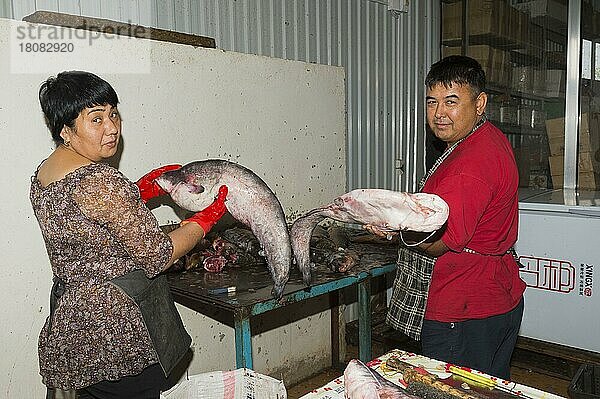 Fischstand  Kasachischer Mann und Frau zeigen große Fische  Samal Bazar  Shymkent  Südregion  Kasachstan  Zentralasien  Nur für redaktionellen Gebrauch  Asien