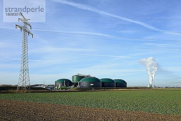 Geballte Energie  Strommast  Biogasanlage  Kohlekraftwerk Mehrum  Windräder  Solschen  Kreis Peine  Niedersachsen  Deutschland  Europa