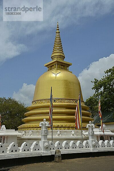 Stupa  Dambulla  Sri Lanka  Asien