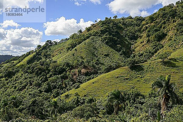 Landschaft bei Pedro Sanchez  Cordillera Oriental  Karibik  Amerika  Dominikanische Republik  Mittelamerika