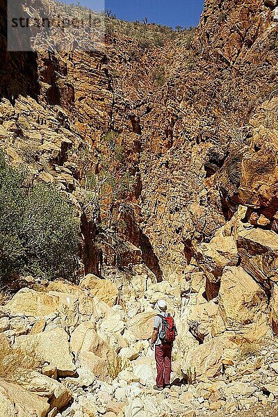 Wanderer in einer Schlucht  OliveTrail  Naukluft Gebirge  Namib-Naukluft Park  Namib-Naukluft National Park  Namibia  Afrika