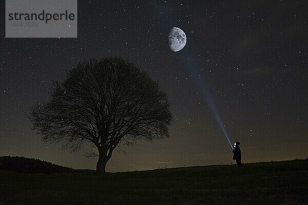 Zunehmender Mond  Eiche (Quercus)  Naturpark Münden  Münden  Niedersachsen  Deutschland  Europa