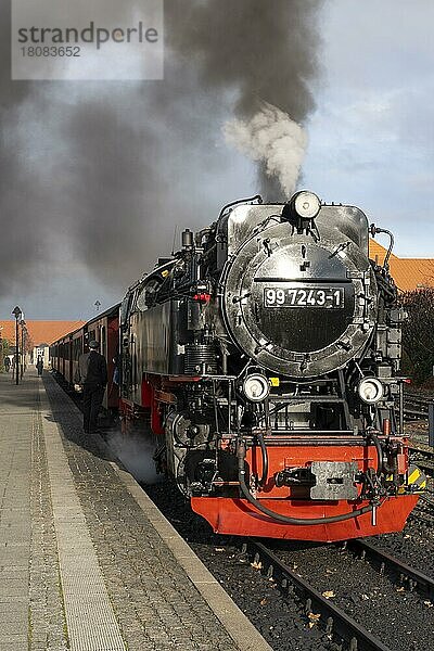 Dampflokomotive im Bahnhof Wernigerode  Harzer Schmalspurbahn  Brockenbahn  Wernigerode  Harz  Sachsen-Anhalt  Deutschland  Europa