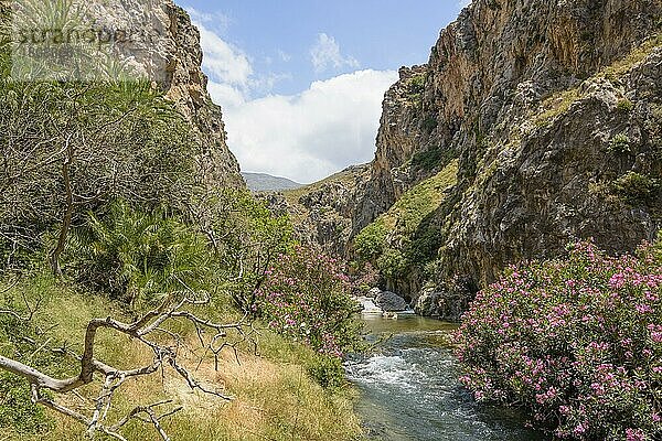 Preveli  Kreta  Griechenland  Europa