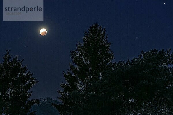 Mondfinsternis  21.01.2019  7.12 Uhr  Staufenberg  Naturpark Münden  Münden  Niedersachsen  Deutschland  Europa