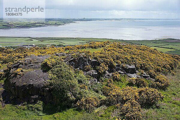 Blick vom Turm Scrabo auf See Strangford  Lough  County Down  Nordirland  Großbritannien  Europa