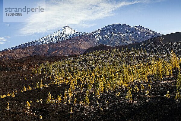 Kraterlandschaft des Teide Nationalparks  Teneriffa  Spanien  Europa