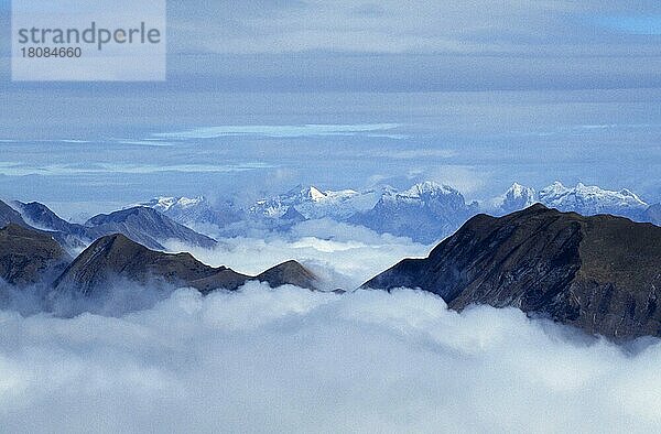 Alpengipfel über Wolken  Berner Oberland (Uebersicht) (overview) (Europa) (Landschaften) (landscapes) (Gebirge) (Berge) (mountains) (Querformat) (horizontal)  Blick vom Niederhorn  Schweiz  Europa