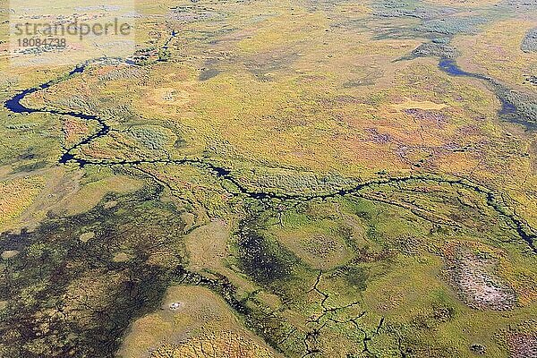 Überschwemmungsgebiet  Okavango  Okavangodelta  Botswana  Afrika