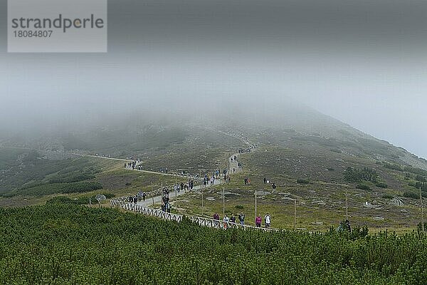 Wanderweg  Schneekoppe  Riesengebirge  Polen  Europa