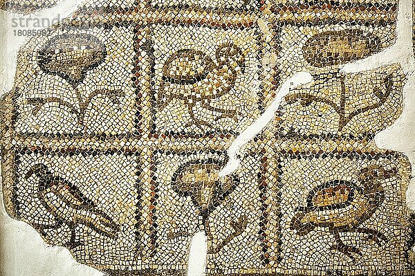 Mosaik  von Vögeln  5. Jahrhert n. Chr.  Archäologisches Museum  Antiochien  Vögel und Pflanzen  Archäologiemuseum Hatay  Antakya  Hatay  Türkei  Asien