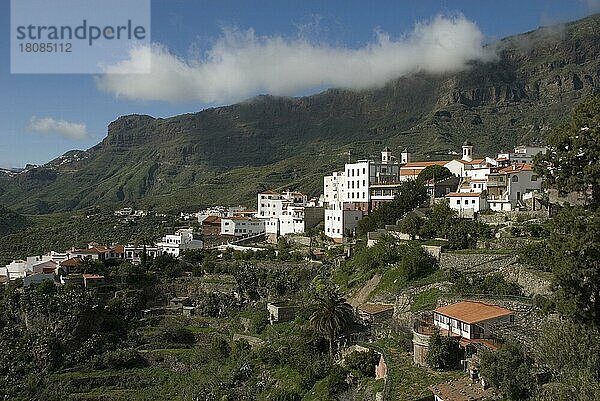 Tejeda  Gran Canaria  Kanarische Inseln  Spanien  Europa