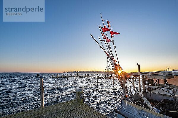 Fischkutter im Hafen am Salzhaff bei Sonnenuntergang  Ostseebad Rerik  Mecklenburg-Vorpommern  Deutschland  Europa