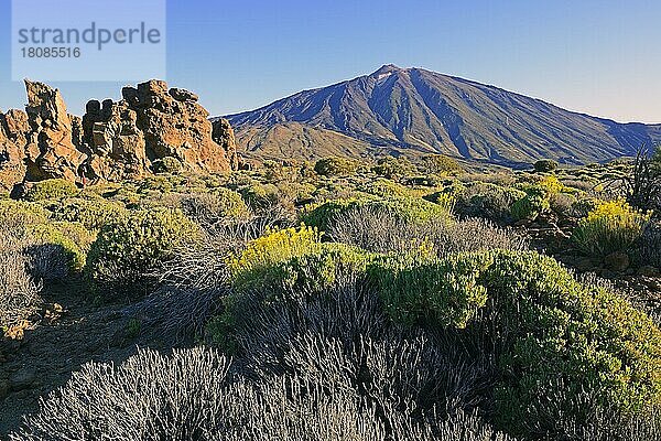 Roques de Garcia  Pico del Teide  Las Canadas  Teide-Nationalpark  UNESCO Weltnaturerbe  Teneriffa  Spanien  Europa