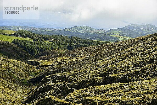 (Caldeira) von Faial  Faial  Azoren  Portugal  Europa