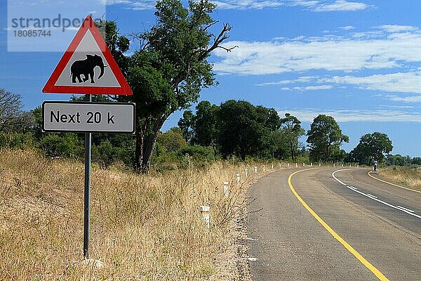 Schild Achtung Elefanten  Straße zwischen Sesheke und Mongu  Sambia  Afrika
