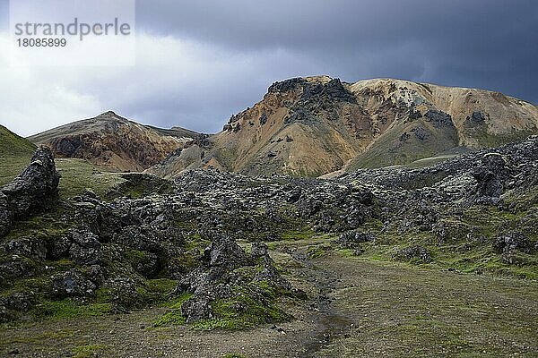 Lavastrom Laugahraun  Fjallabak-Nationalpark  Landmannalaugar  Island  Europa