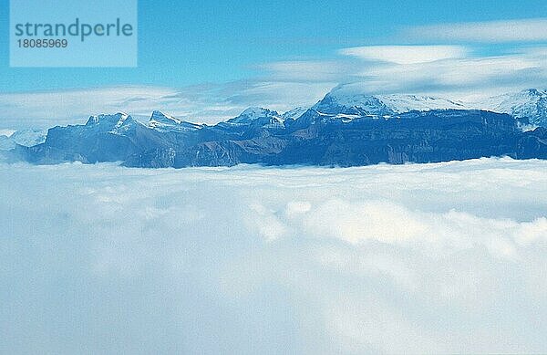 Alpengipfel über den Wolken  Berner Oberland (Europa) (Landschaften) (landscapes) (Gebirge) (Berge) (mountains) (Querformat) (horizontal)  Blick vom Niederhorn  Schweiz  Europa
