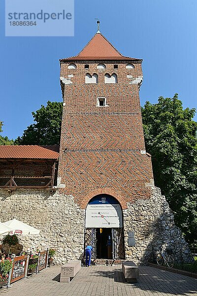 Wehrturm  Stadtmauer  Krakau  Polen  Europa