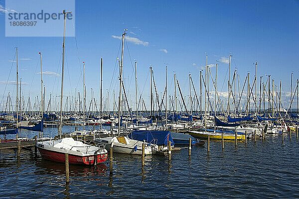 Boote an Bootssteg  Mardorf  Neustadt am Rübenberge  Steinhuder Meer  Niedersachsen  Deutschland  Europa