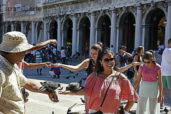 Touristen  füttern  Tauben  Piazza di San Marco  San Marco  Markusplatz  Venedig  Venezia  Venetien  Italien  Europa