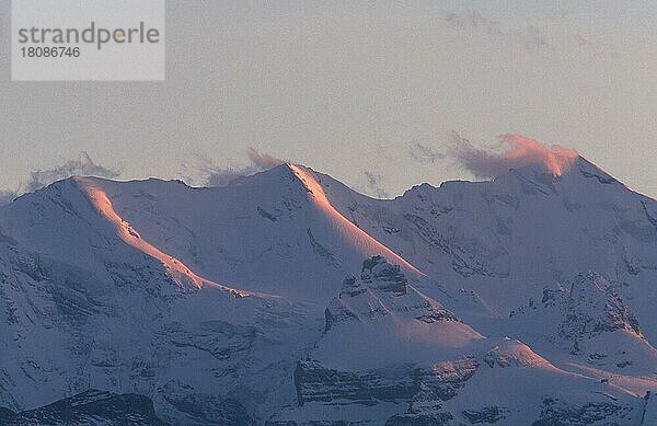 Alpengipfel  Berner Oberland (Abenddämmerung) (dusk) (twilight) (Europa) (Landschaften) (landscapes) (Gebirge) (Berge) (mountains) (Querformat) (horizontal)  Blick vom Niederhorn  Schweiz  Europa