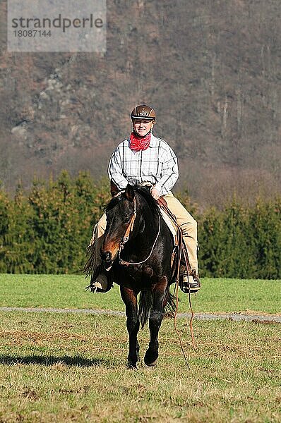 Frau reitet American Quarter Horse  Hengst  Westernreiten mit Sturzhelm  Reithelm  FEI  Geländereiten  Gelanderitt  Ausritt