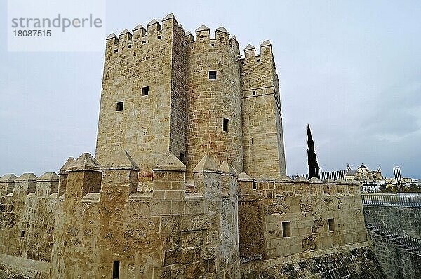Torre La Calahorra  Turm  Museum der drei Kulturen  Cordoba  Provinz Cordoba  Andalusien  Spanien  Europa