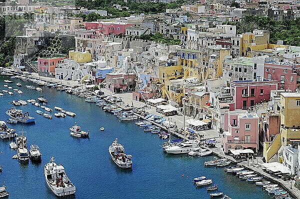 Marina di Corricella  Hafen  Insel Procida  Golf von Neapel  Kampanien  Italien  Europa