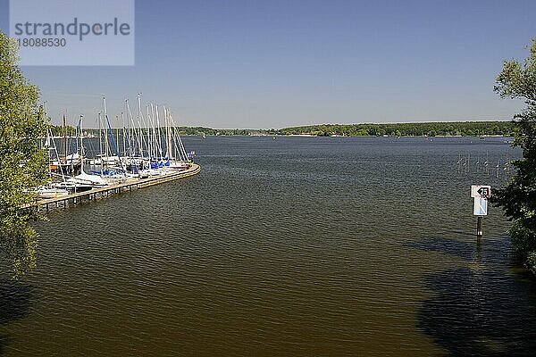 Großer Wannsee  Berlin-Zehlendorf  Deutschland  Europa