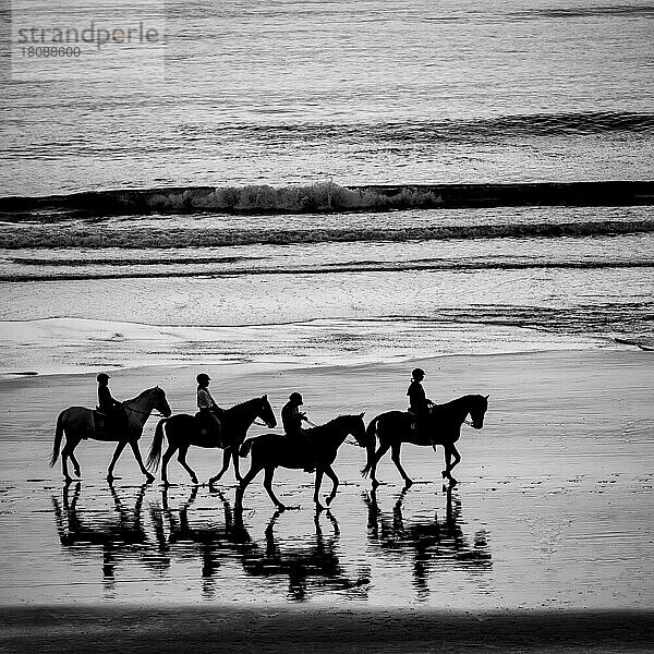 Schwarzweiß  Reiter am Strand  Pferde  Sonnenuntergang  Silhouette  Chiclana de la Frontera  Costa de la Luz  Cadiz  Andalusien  Spanien  Europa