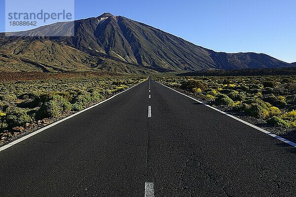 Straße und Vulkan Pico del Teide  Teide Nationalpark  Kanarische Inseln  Teneriffa  Spanien  Europa