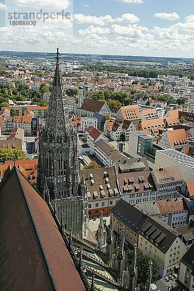 Ausblick auf Ulm  südlicher Ostturm des Ulmer Münsters  Häuser  Dächer  Stadt Ulm  Baden-Württemberg  Deutschland  Europa